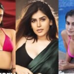 Reality Ranis of the Jungle Contestants; Bold Women, Grit, and Survival